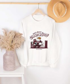 Fenway Bowl Champs We own Boston football mascot city Shirt, Boston College Eagles Shirt Football 2023 T-Shirt Sweatshirt Hoodie NFL gifts for fan