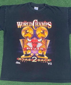 1992 Chicago Bulls Back-To-Back Champions Tee, Sweatshirt, Hoodie - NBA Champs Collection
