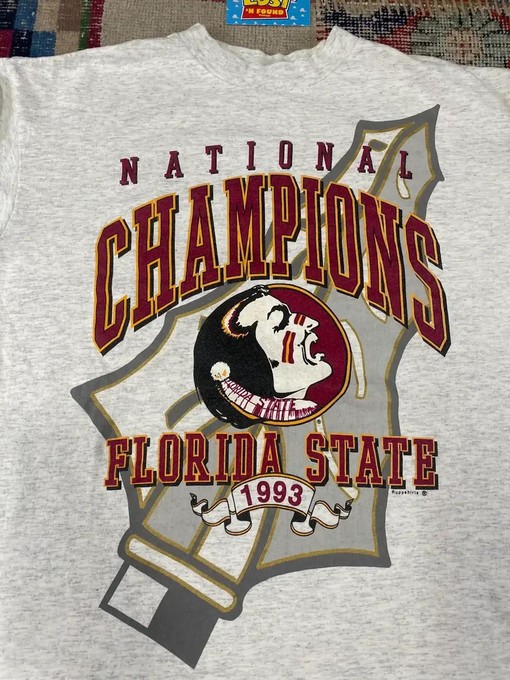 1993 Vintage Style NCAA Florida State Seminoles Spear T-Shirt, Sweatshirt - American Football Sweatshirt - Image 2