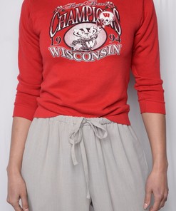 1994 Wisconsin Badger State Pullover Sweatshirt - University Football Fan Apparel for All Sports Lovers