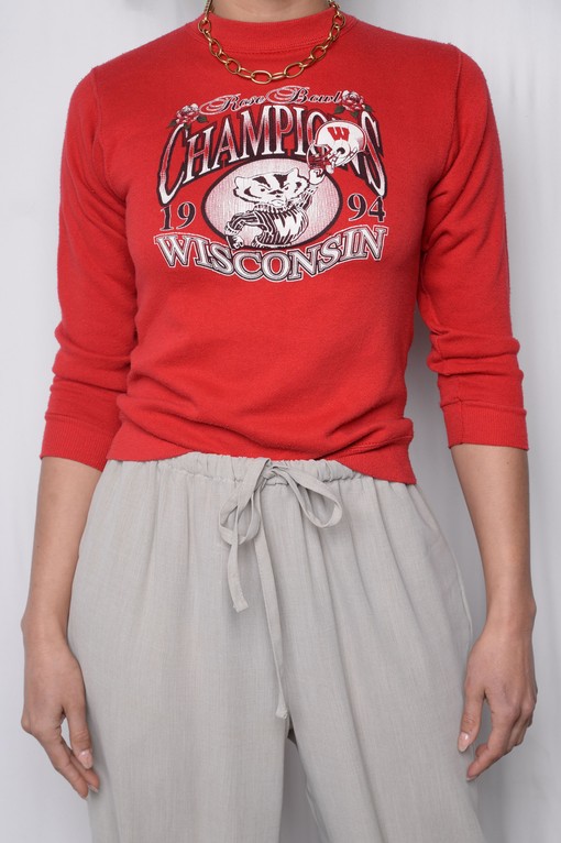 1994 Wisconsin Badger State Pullover Sweatshirt - University Football Fan Apparel for All Sports Lovers