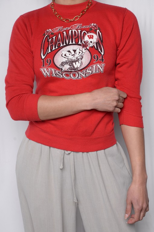 1994 Wisconsin Badger State Pullover Sweatshirt - University Football Fan Apparel for All Sports Lovers - Image 2
