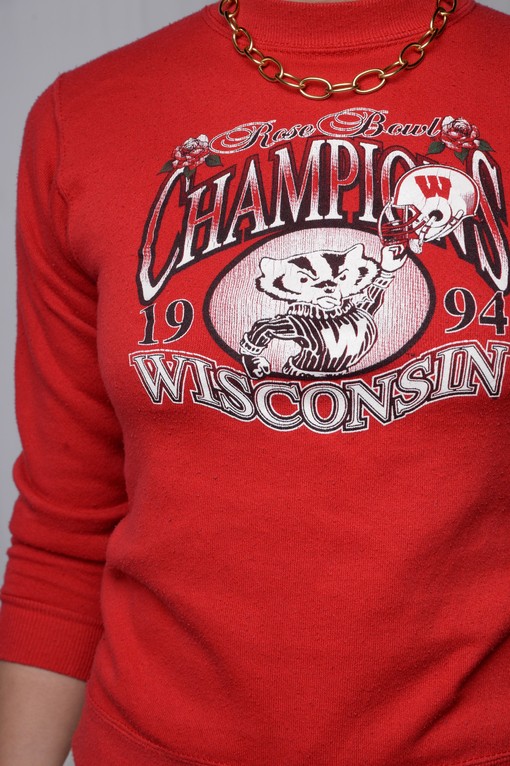 1994 Wisconsin Badger State Pullover Sweatshirt - University Football Fan Apparel for All Sports Lovers - Image 3