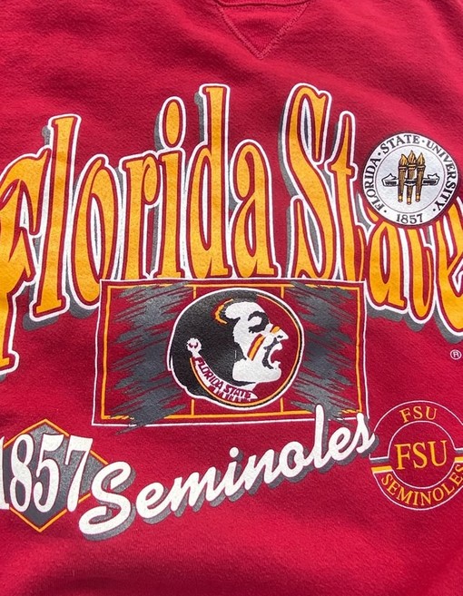 90s Vintage Florida State University Seminoles Crewneck Sweatshirt - T shirt, Hoodie - Perfect Gifts for Fans - Image 2