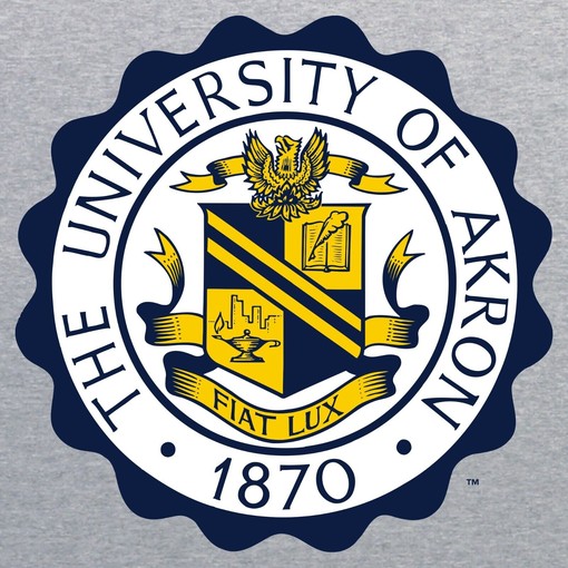 Akron Zips University Seal Shirt Sweatshirt Pullover Hoodie with College Shirts Style - Image 2