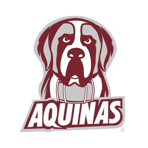 Aquinas Saints Logo NCAA Shirt Sweatshirt Pullover Hoodie perfect for NCAA Shirts Fans - Image 2