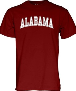 Arching Team Color Short Sleeve Shirt and Hoodie Sweatshirt Gifts for Fans