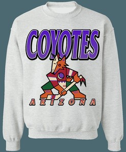 Arizona Coyotes KACHINA Vintage NHL Sweatshirt Hoodie - Tee for True Fans