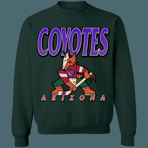 Arizona Coyotes KACHINA Vintage NHL Sweatshirt Hoodie - Tee for True Fans - Image 3