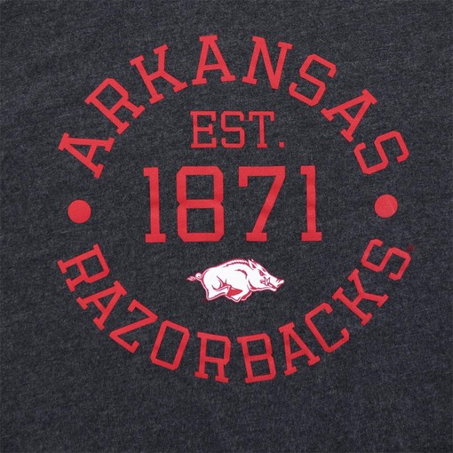 Arkansas Razorbacks Est Circle Unisex Sueded Shirt with State University Shirt - Image 2