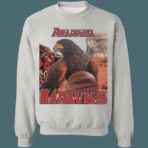 Atlanta Hawks Creature Collection Vintage NBA Vintage Sweatshirt Hoodie Shirt for NBA Fans - Retro Style - Image 3