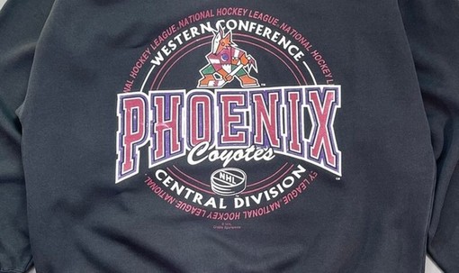 Authentic Phoenix Coyotes Crewneck Sweatshirt, Shirt, and Hoodie Set - Ideal for Fans - Image 2