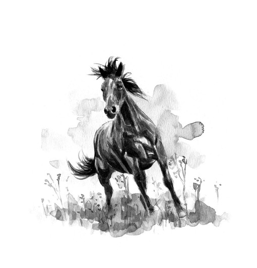 Black & White Horse Print Shower Curtain - Add Simple Elegance to Your Bathroom - Image 3