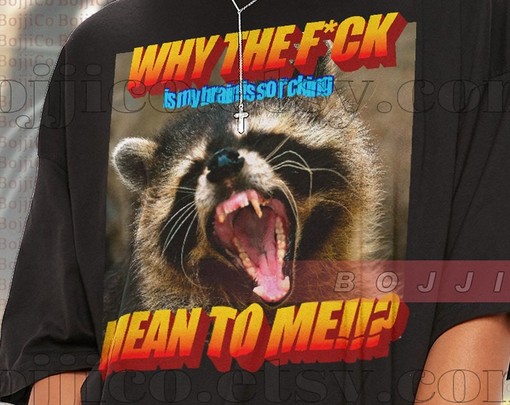 Brain So Fckin Mean Meme Shirt: Classic Movie T-Shirt with Raccoon and Possums - Image 2