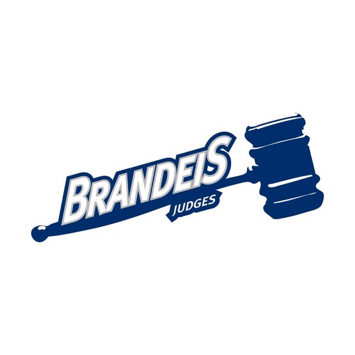 Brandeis Judges Logo Shirt Sweatshirt Pullover Hoodie with College Shirts Style - Image 2