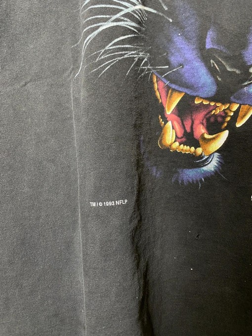 Carolina Panthers Big Face 90s Vintage Style Sweatshirt T-shirt - Ideal Gift for Football Fans - Image 3