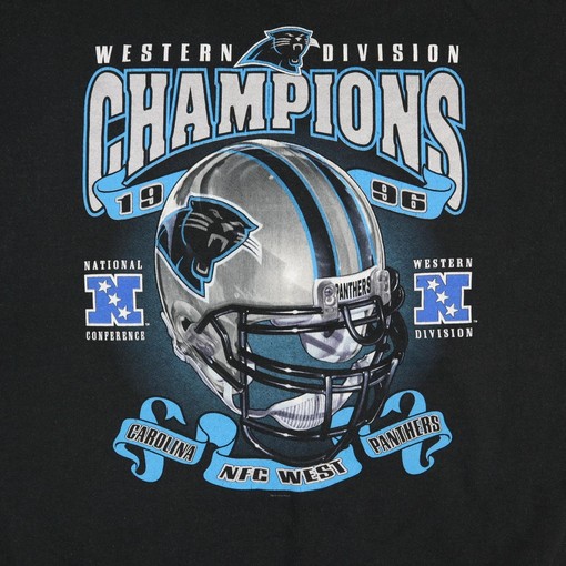 Carolina Panthers Pro Player Big PrinHoodie Sweatshirt Shirt - Vintage Style Perfect Gift for NFL Fans - Image 2