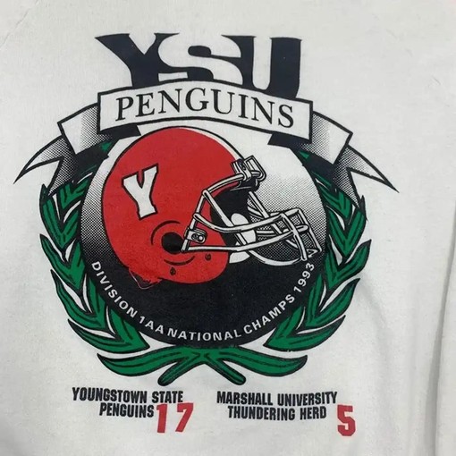 Celebrate 1993 Ysu Penguins Football Champs with American Football Gifts for Lovers - Image 2