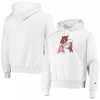 Champion Heathered Gray Arkansas Razorbacks Team Vault Logo Reverse Weave Hoodie with Mens Sport Shirts