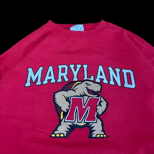 Champion Maryland Terrapins College NCAA Set - T-Shirt, Sweatshirt, American Football Sweatshirt Sports Gifts - Image 2