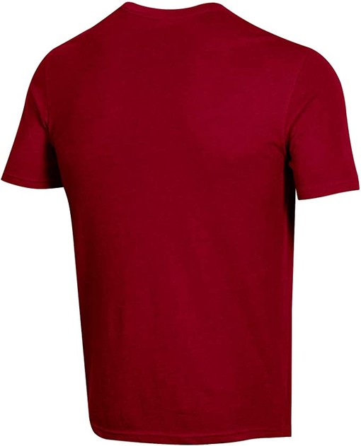 Champion NCAA Men's Athletic Short Sleeve T-Shirt and Hoodie Sweatshirt Gifts for NCAA Fans - Image 2