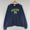 Champion Notre Dame Fighting Irish NFL Football Sweatshirt T-shirt, Show Your College Pride