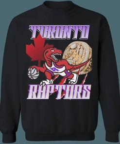Championship Vintage NBA Sweatshirt Hoodie Shirt for Toronto Raptors Fans