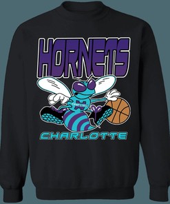 Charlotte Hornets NBA Gradient Design Long Sleeve Tee - For Fans