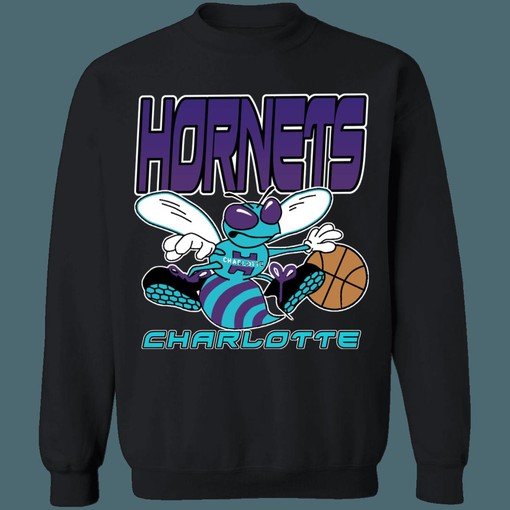 Charlotte Hornets NBA Gradient Design Long Sleeve Tee - For Fans