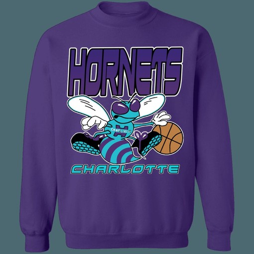 Charlotte Hornets NBA Gradient Design Long Sleeve Tee - For Fans - Image 4