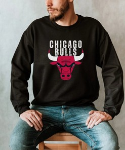 Chicago Bulls Tee, Sweatshirt, Hoodie - Hoops Apparel for Fans