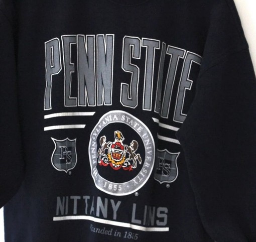 Classic and Stylish Penn State University Nittany Lions - Sweatshirt, Hoodie, and Crewneck Sweatshirt - Image 2