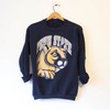 Classic and Stylish Penn State University Nittany Lions - Sweatshirt, Hoodie, and Crewneck Sweatshirts