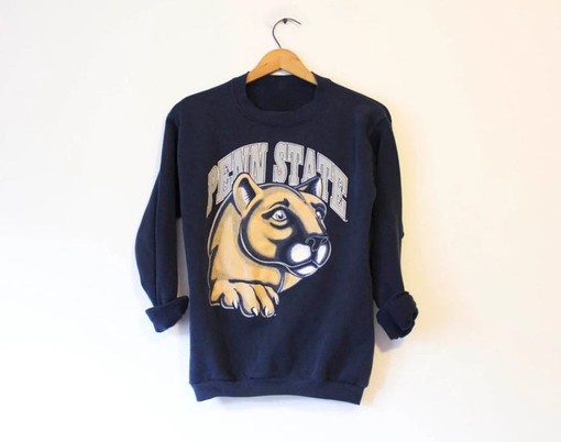 Classic and Stylish Penn State University Nittany Lions - Sweatshirt, Hoodie, and Crewneck Sweatshirts