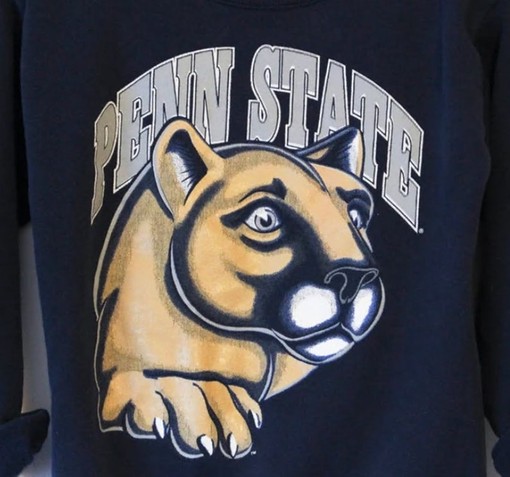 Classic and Stylish Penn State University Nittany Lions - Sweatshirt, Hoodie, and Crewneck Sweatshirts - Image 2