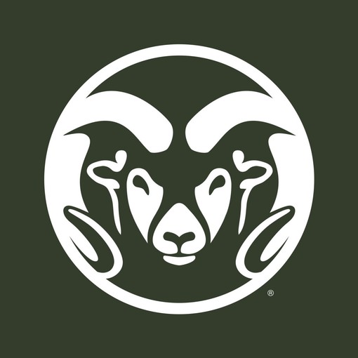 Colorado State Rams Primary Logo Licensed NCAA University Shirt Sweatshirt Hoodie - Image 2