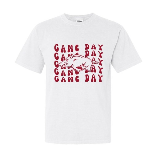 Comfort Colors Arkansas Razorbacks Graphic Tshirt - Retro Sorority Tshirt, NCAA Shirts Women - Image 3