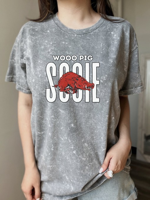 Comfortable Arkansas Razorbacks Tee For Fans - Woo Pig Sooie Shirt, NCAA Shirts for Men