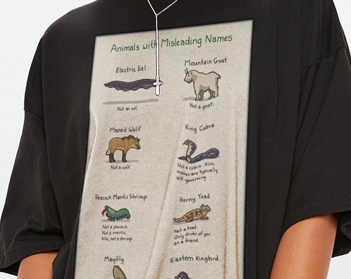 Cute and Misleading Animals Featured in Funny Unisex Tees - Animal Lovers Unite with Possums and Raccoon Tanuki Memes - Image 2