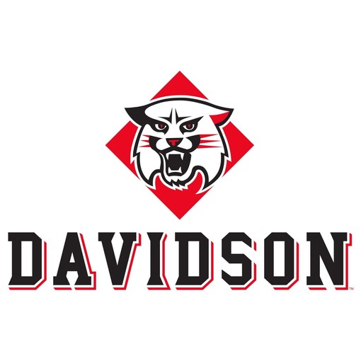 Davidson Wildcats Distressed Circle Logo NCAA University Shirt Sweatshirt Pullover Hoodie - Image 2