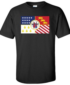 Detroit Us City Flag Basic State University Shirt Sweatshirt Pullover Hoodie Reprinted Gifts For Fans