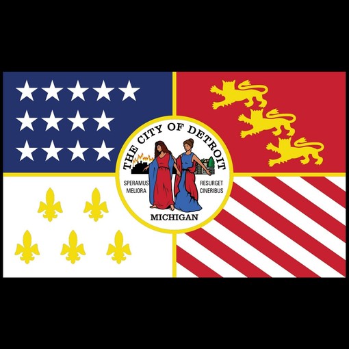 Detroit Us City Flag Basic State University Shirt Sweatshirt Pullover Hoodie Reprinted Gifts For Fans - Image 2