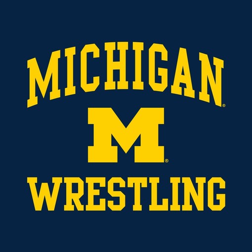 Distress Triblend Michigan Wolverines Basketball Crewneck Shirt for Men and Women - Image 2