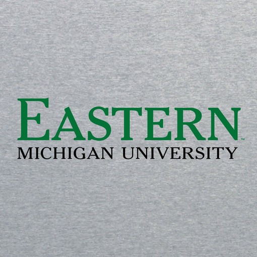 Eastern Michigan Institutional Logo College Shirt Sweatshirt Pullover Hoodie - Image 2