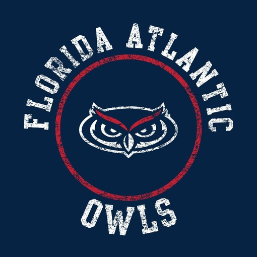Fau Owls Distressed Circle Logo State University Shirt Sweatshirt Pullover Hoodie Reprinted Gifts - Image 2