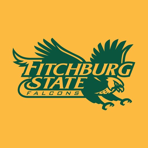 Fitchburg Falcons Primary And Arch Logo NCAA Shirt, Sweatshirt Hoodie For Fans - Image 2