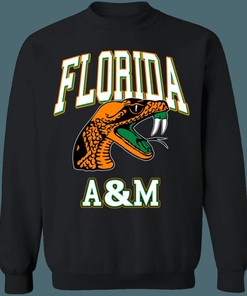 Florida A&M Rattlers Vintage NCAA Sweatshirt Hoodie Shirt for Fans of All Ages