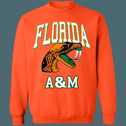 Florida A&M Rattlers Vintage NCAA Sweatshirt Hoodie Shirt for Fans of All Ages - Image 3