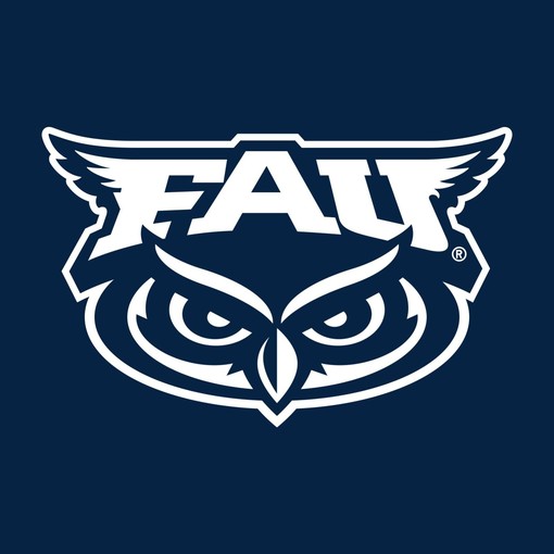 Florida Gulf Coast Eagles Identity Stamp Vintage NCAA Shirt, Sweatshirt Pullover Hoodie For Fans - Image 2