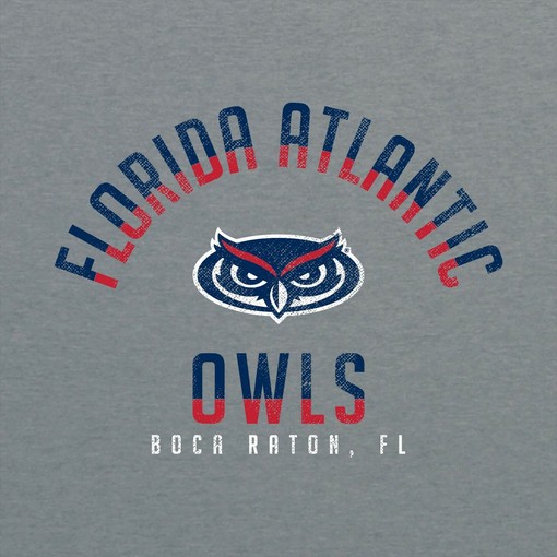 Florida Gulf Coast Eagles Pattern Blocks NCAA Shirt, Sweatshirt Pullover Hoodie For Fans - Image 2